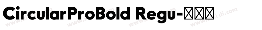 CircularProBold Regu字体转换